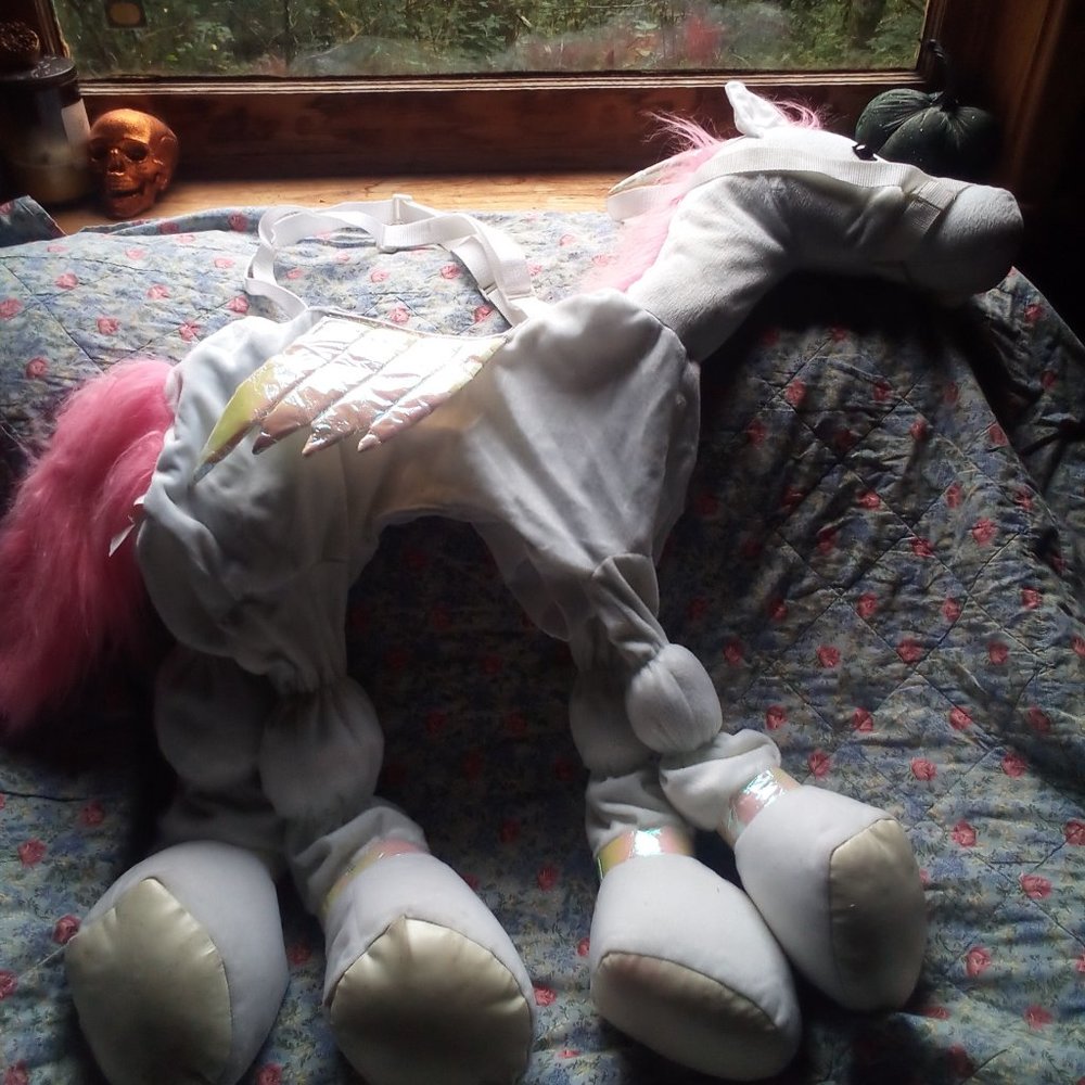 Riding a unicorn costume Children size 5-7